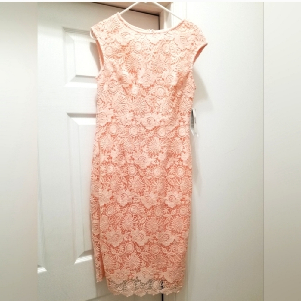 Ivy + Blu Sheath Dress, size 4, NWT!